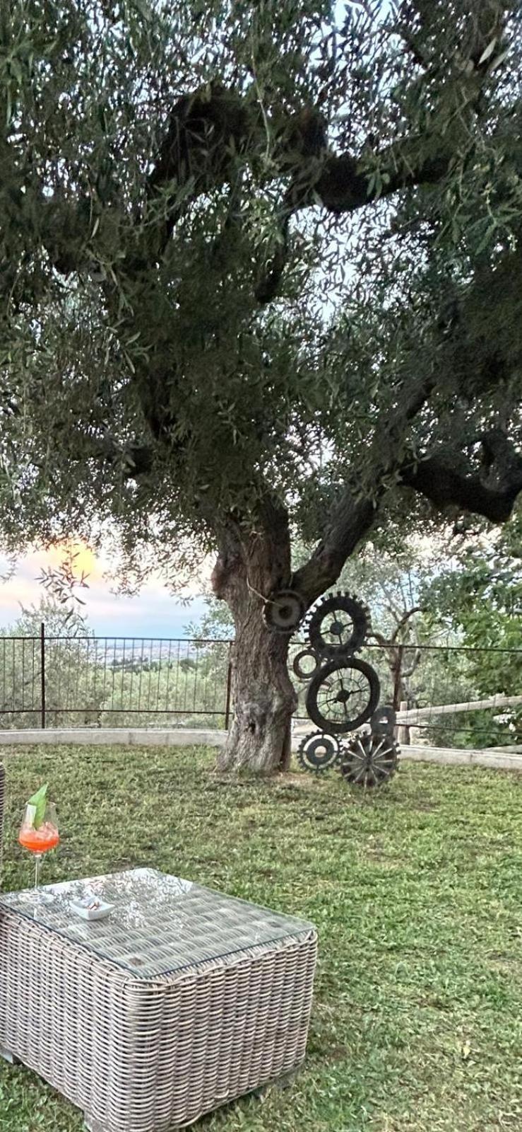 Bed and Breakfast Barone Gambadoro Monte SantʼAngelo Exterior foto